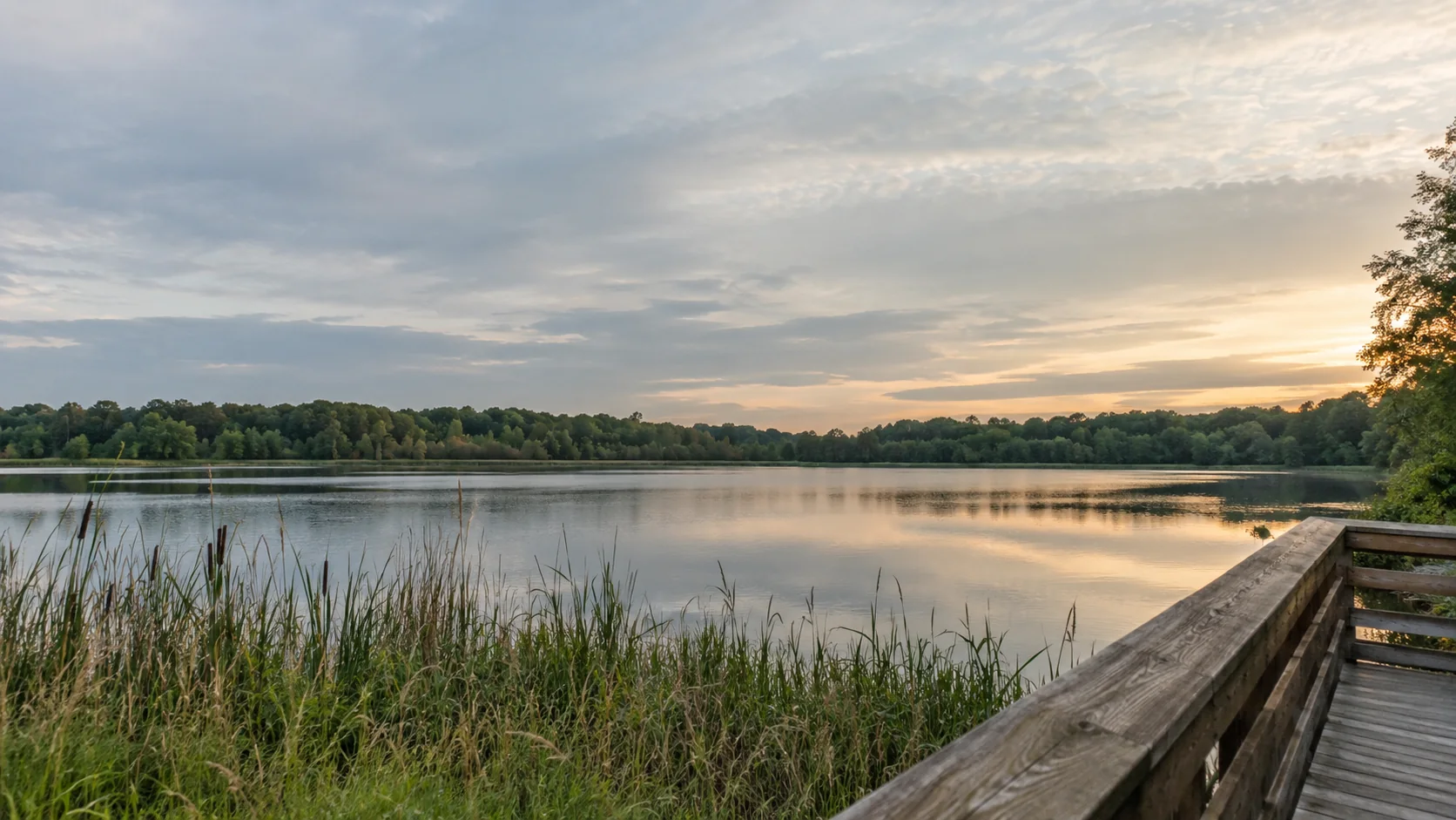 A quiet lake beside a wooden boardwalk